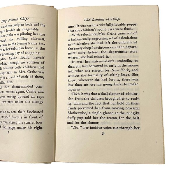 A Dog Named Chips The Life and Adventures of a Mongrel Scamp HC Book Terhune - Picture 6 of 8